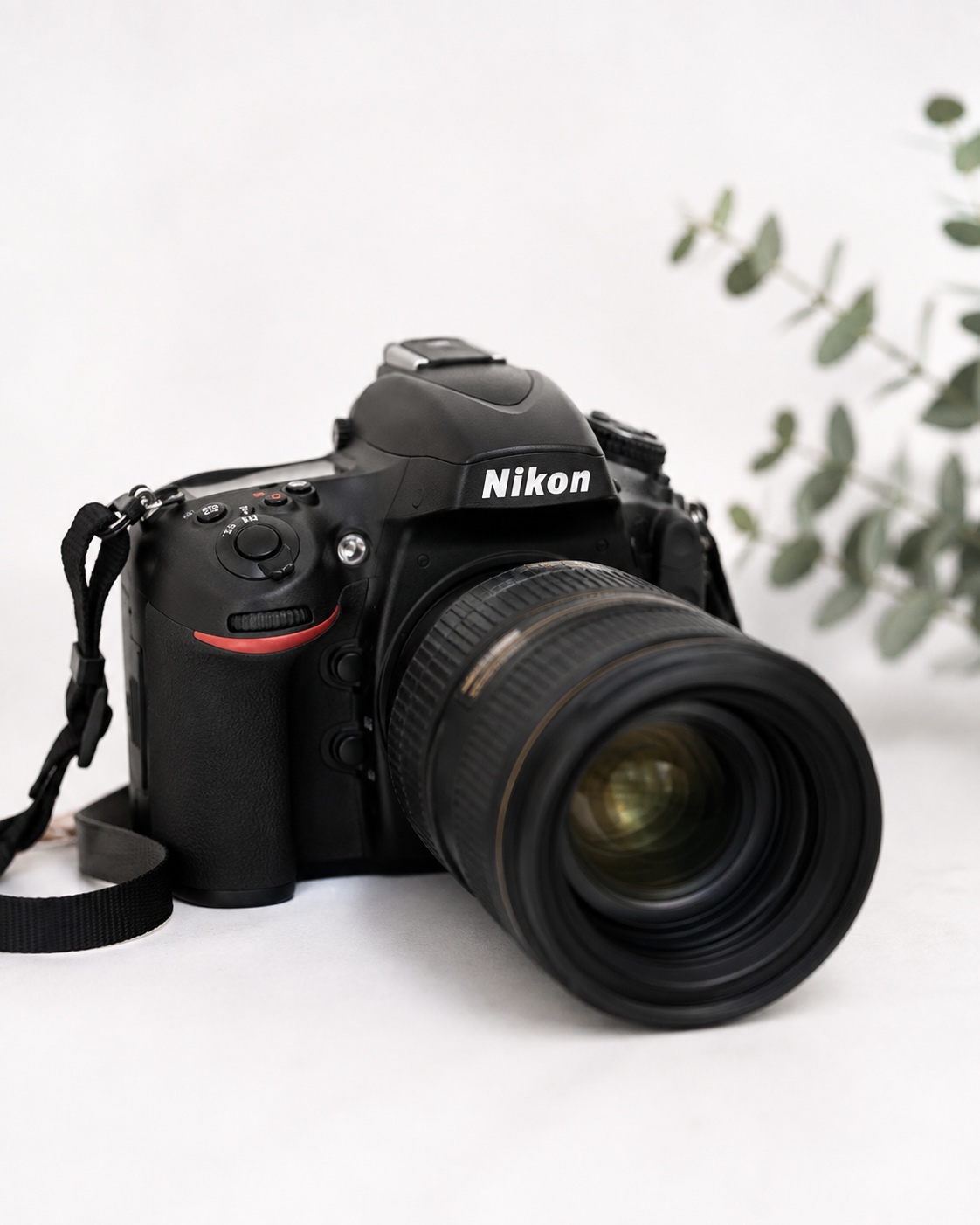 camera-image homepage